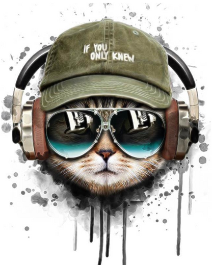 Cool Cat with HeadPhones | Paint by Numbers