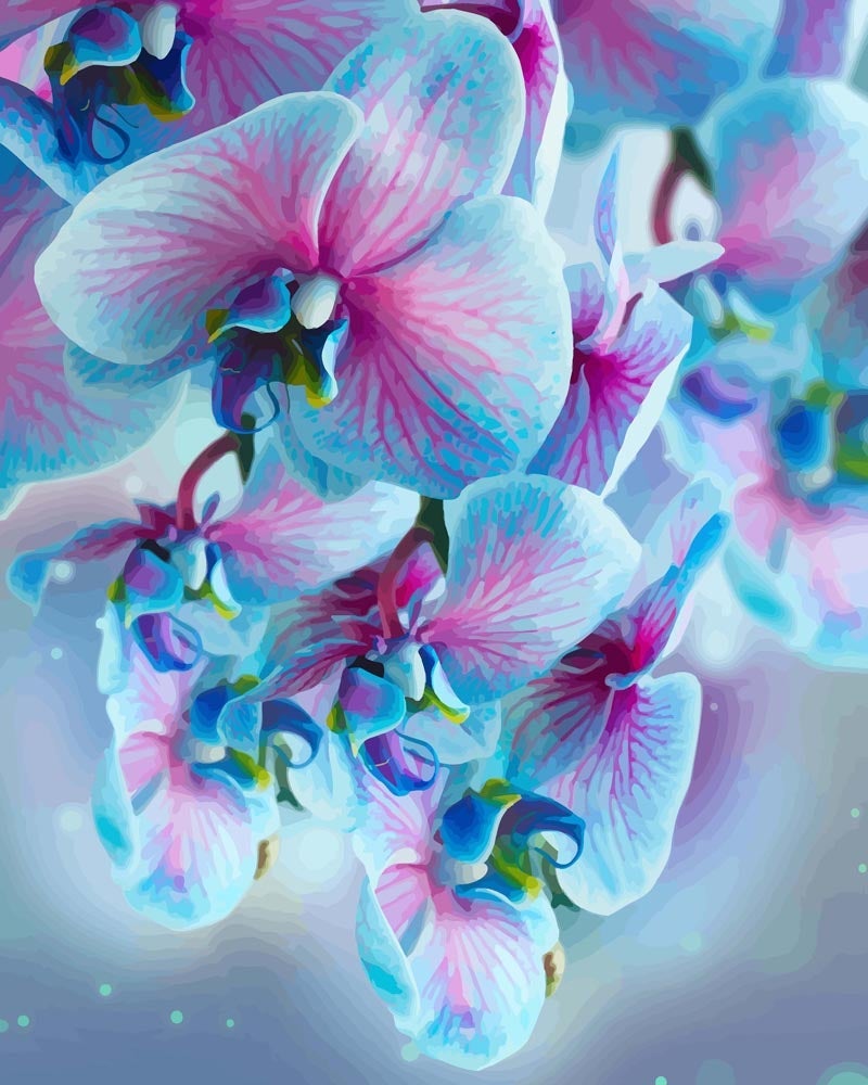 Blue Orchids | Paint by Numbers