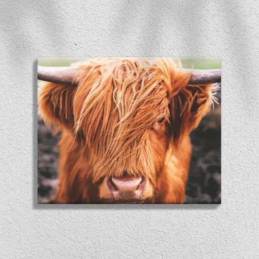 Scottish Highland Cattle | Måla efter Nummer