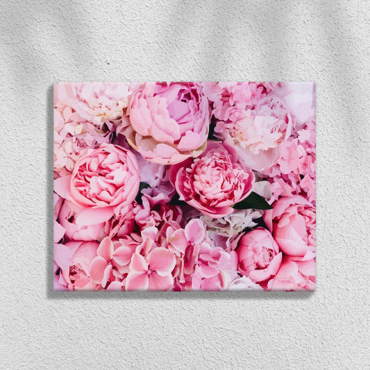Pink Peonies Background | Paint by Numbers