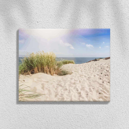 Sanddyner på Östersjöns sandstrand | Måla efter Nummer