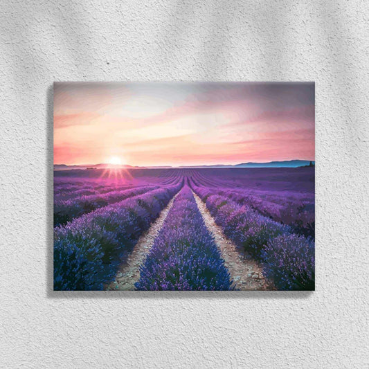 Lavendel Bloemenveld | Schilderen op Nummers