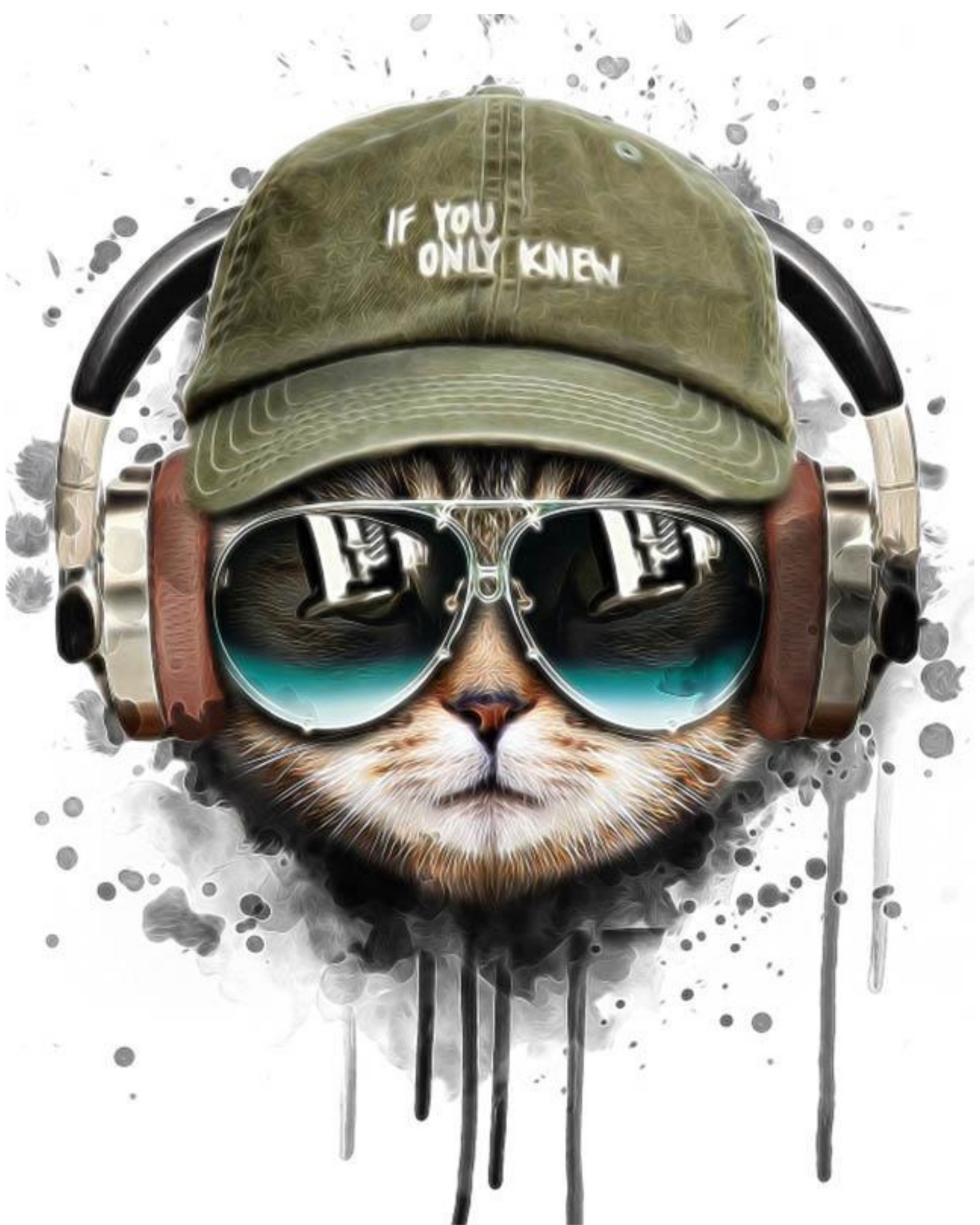 Coole Katze mit Kopfhörern | Malen nach Zahlen