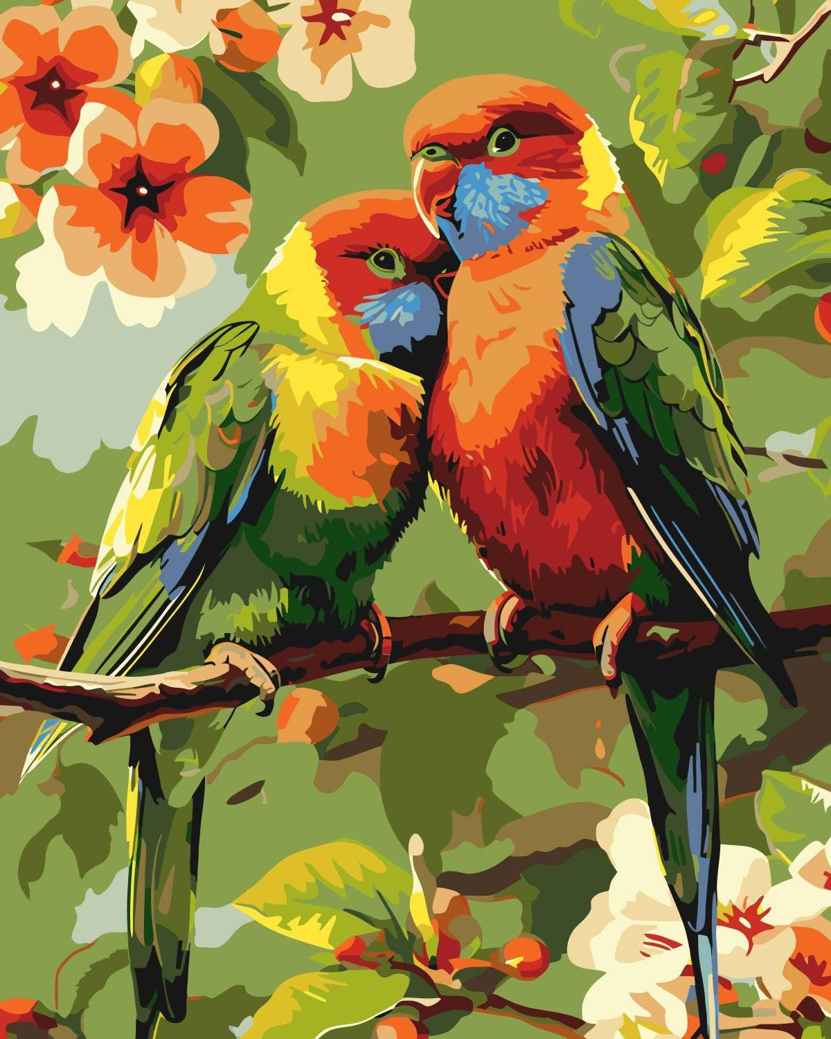2 Kleurrijke vogels | Schilderen op Nummers