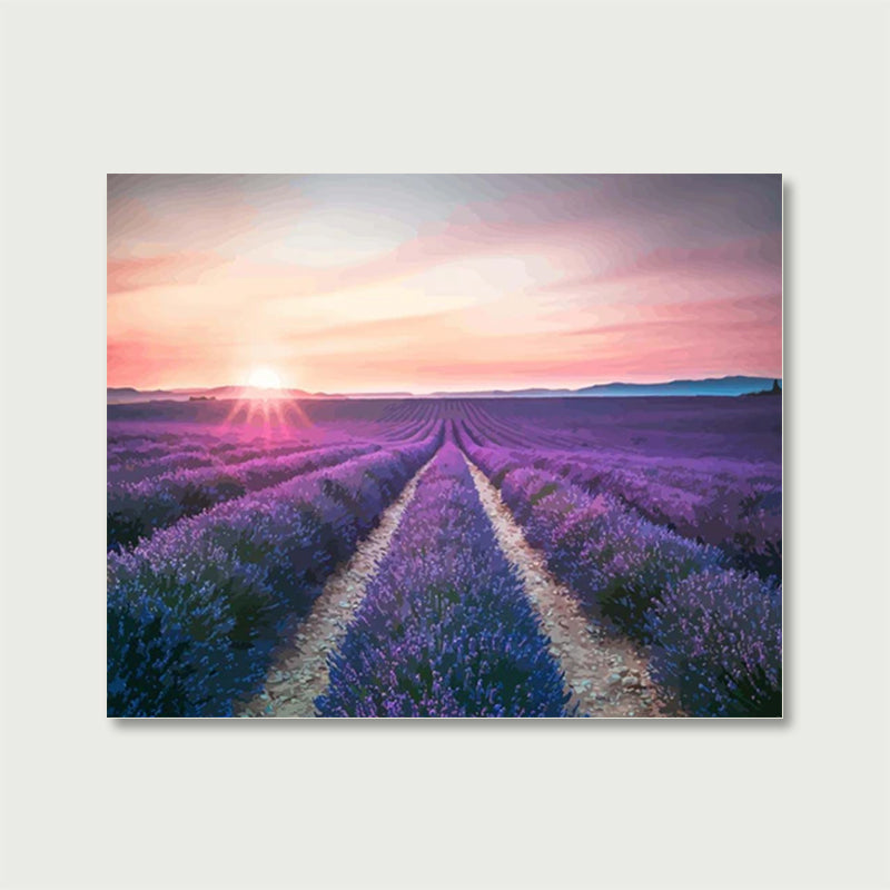 Lavender Flower Field | Paint by Numbers