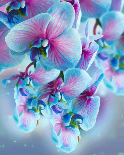 Siniset Orkideat | Maalaa Numeroilla