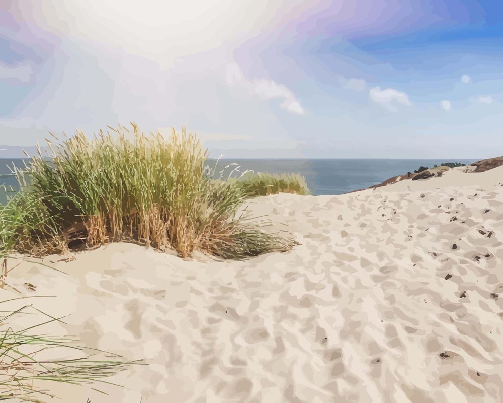 Sanddyner på Östersjöns sandstrand | Måla efter Nummer