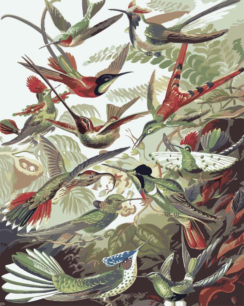 Trochilidae–Kolibris von Ernst Haeckel | Malen nach Zahlen
