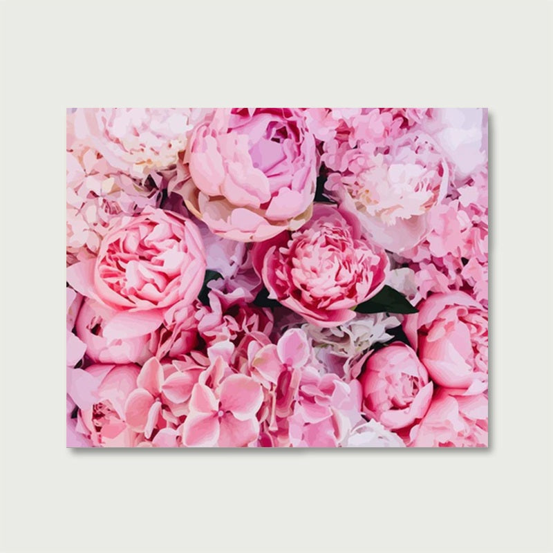 Pink Peonies Background | Paint by Numbers