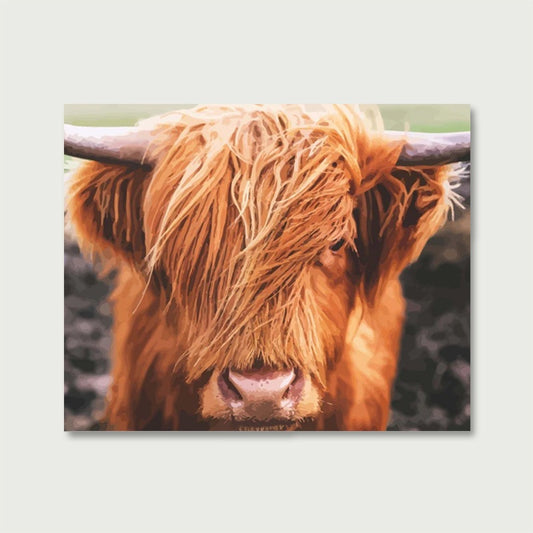 Scottish Highland Cattle | Måla efter Nummer