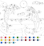 Colorful Dolphins Painting By Numbers Template